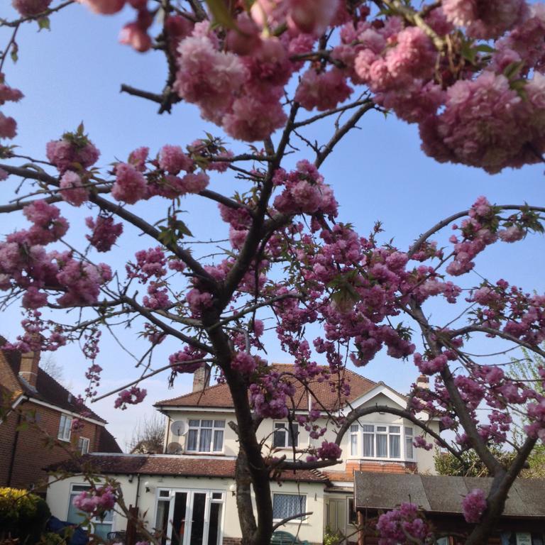 La B&B Chichester Quarto foto